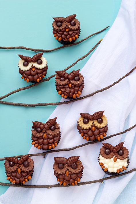 Why make ordinary cupcakes when you can make these easy owl cupcakes. And you can make it with your favorite cake box mix and store bought frosting. Deco Cupcake, Simple Owl, Cupcake Videos, Owl Cakes, Owl Cupcakes, Store Bought Frosting, Fall Cupcakes, Cupcake Tutorial, Fondant Cupcake Toppers