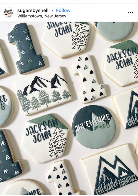 Camping Cookies, Cookie Decorating Icing, Flooding Cookies, Royal Iced Cookies, Cookie Cake Birthday, Sugar Cookie Royal Icing, Sugar Cookie Designs, Baby Cookies, Fancy Cookies