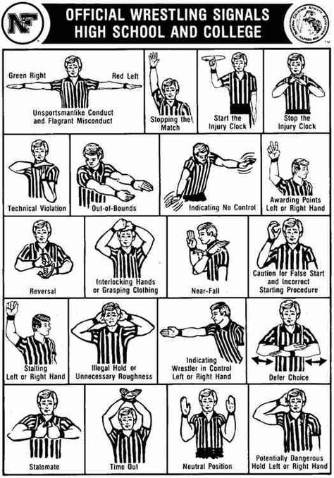 Wrestling Referee Signals - wish I has this a few years ago! I'll be a pro by the time AJ's in high school!! Wrestlers Diet, Wrestling Rules, Wrestling Workout, Best Sports Quotes, Youth Wrestling, Wrestling Memes, Olympic Wrestling, Wrestling Quotes, Wrestling Gift