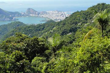 Tijuca National Park Tours, Trips & Tickets - Rio de Janeiro Attractions | Viator.com Tijuca National Park, National Park Hikes, Christ The Redeemer Statue, Ipanema Beach, Copacabana Beach, Christ The Redeemer, Rio Grande, Day Tours, Water Park