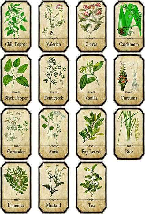 Herb Labels, Herbs List, Sage Tea, Spice Jar Labels, Potion Labels, Apothecary Labels, Etiquette Vintage, Spice Labels, Herbal Apothecary