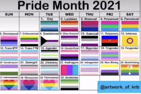 Pride Month Calendar, Lgbtq Flags, Lesbian Flag, Bloxburg Decal Codes, Lgbt Pride, Pride Month, Emotional Wellness, Love People, Fanfiction