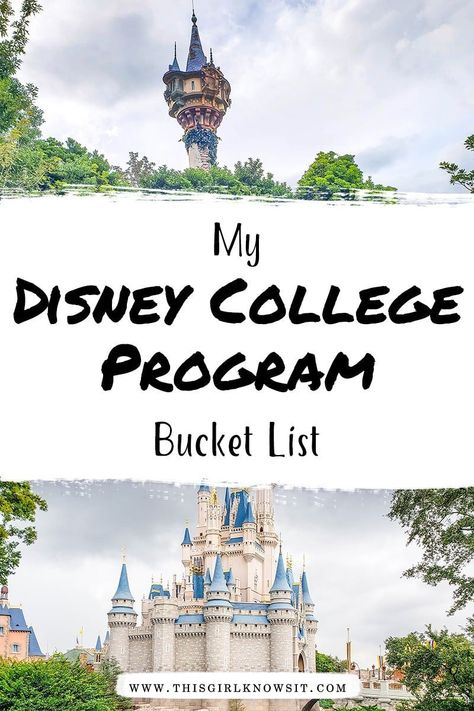 Disney Cultural Exchange Program, University Advice, Disney Internship, College Bucket List, Disney Bucket List, Florida College, School Lifestyle, College Club, College Resources