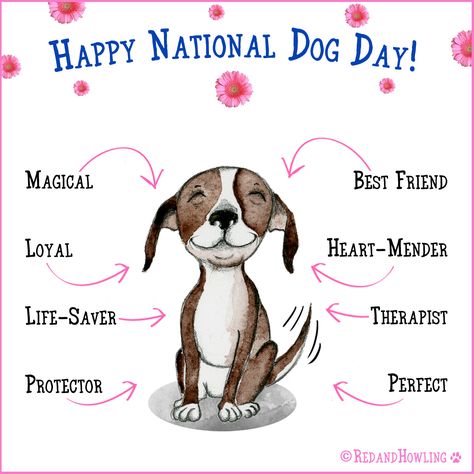 Happy National Dog Day! Happy National Dog Day, Pocket Beagle, National Dog Day, Dog Day, Quotes Happy, Dog Rules, Beagle Puppy, Memes Humor, Crazy Dog