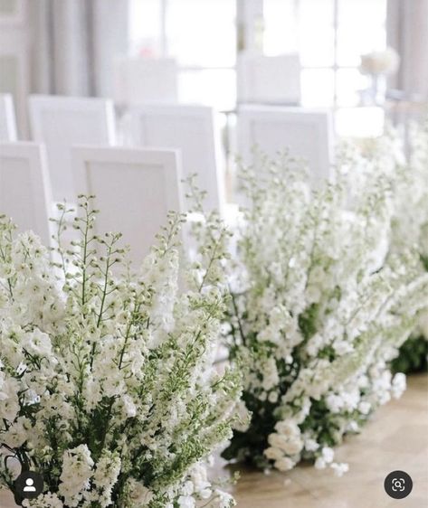 Aisle Meadows, Aisle Florals, White Delphinium, White Larkspur, Aisle Flowers, Spring Wedding Flowers, Ceremony Inspiration, Aisle Decor, Wedding Aisle