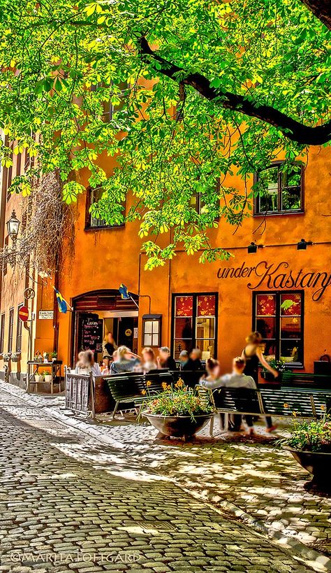 Stockholm Old Town, Swedish Girl, Chestnut Tree, Invisible Cities, Sweden Travel, Pandora's Box, Cobblestone Streets, Scandinavia Travel, Voyage Europe