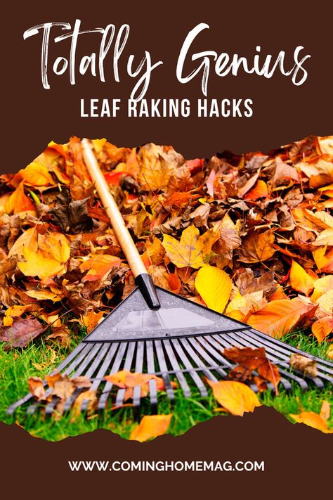 rake laying on top of fall leaves Leaf Clean Up, Seasons Changing, Raking Leaves, Beautiful Leaves, Visual Representation, The Seasons, Garden Landscaping, Landscaping, Make Your