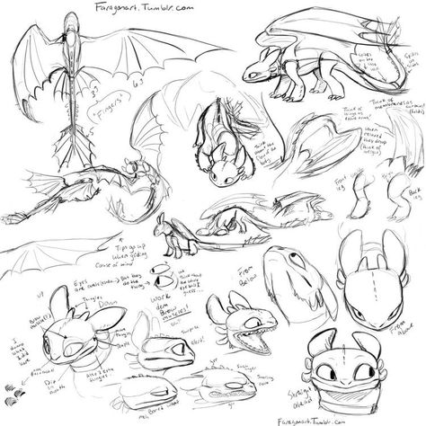 Toothless Sketch, Toothless Drawing, Dragon Poses, Dragon Anatomy, Dragon Base, Night Fury Dragon, Httyd Art, Dragon Sketch, Httyd Dragons