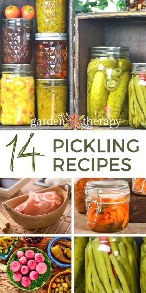 Fermented Pickles Recipe, Pickled Pineapple, Spicy Pickled Carrots, Pickled Recipes, Pickled Watermelon, Quick Pickled Radishes, Make Pickles, Pickled Fruit, Pickled Vegetables Recipe