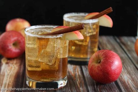 Apple Cider Ginger Beer Cocktail Apple Cider Ginger Beer, Ginger Beer Margarita, Pizza Pairings, Drinks For Wedding, Autumn Drink, Ginger Beer Recipe, Beer Cocktail Recipes, Ginger Beer Cocktail, Apple Party