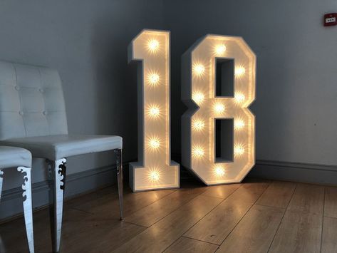 17 Light Up Numbers, Letter Flowers, Royal Blue Wedding Theme, 18th Party, Whitstable Kent, 18th Birthday Party Themes, Red Birthday Party, 18th Birthday Decorations, 17th Birthday Ideas