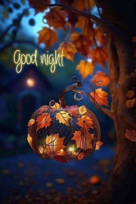 Sweet Dreams Good Night, Good Night Love Pictures, Photos Of Good Night, New Good Night Images, Good Dreams, Hello Saturday, Good Night Funny, Beautiful Good Night Images, Night Friends