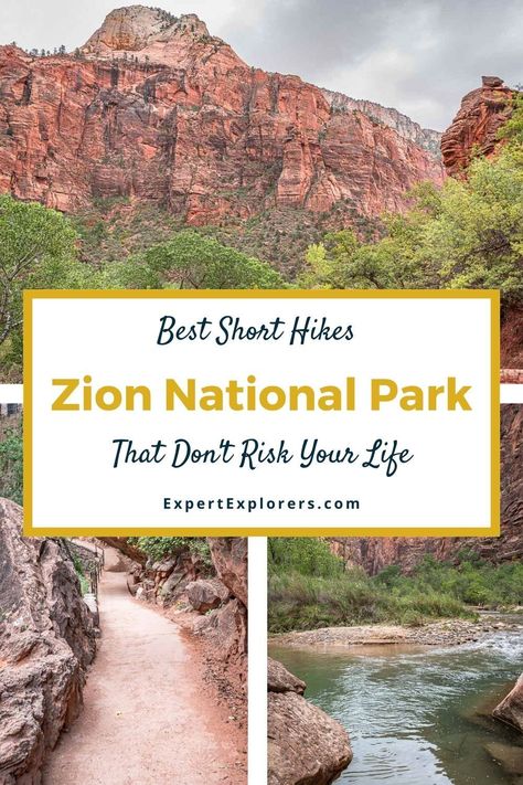 Best Short Hikes in Zion - Zion National Park is known for some magnificent, but also extremely challenging hikes. However, you don’t have to be a strong hiker or risk your life to enjoy Zion National Park.In this post we’ve picked the best short hikes in Zion. All of them take 2 hours or less and are graded easy to moderate. Via ExpertExplorers.com | #Utah #NationalParks #Hiking Hikes In Zion National Park, Zion Hikes, Zion National Park Hikes, Usa Places, Zion Park, Riverside Walk, Road Trip Camping, Zion Canyon, Everglades Florida