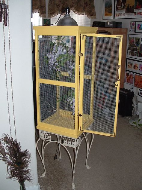 Indoor & Outdoor Butterfly Habitats & Cages Butterfly Enclosure Diy, Houses For Sale Near Me, Butterfly Enclosure, Insect Enclosure, Monarch Butterfly Habitat, Raising Monarch Butterflies, Butterfly Cage, Raising Butterflies, Monarch Butterfly Garden