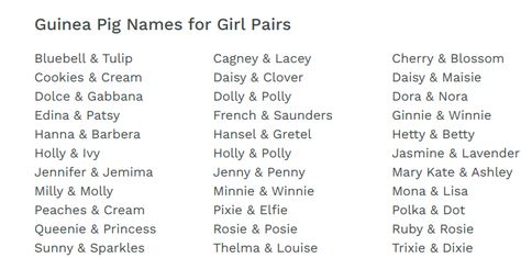 Guinea pig names!! Boy & Girl Pig Names Ideas, Guinea Pig Names, Guinea Pig Checklist, Guinea Pig Names Girl, Cagney And Lacey, Guinea Pig Quotes, Guinea Pig Information, Pig Girl, Guinea Pig Food