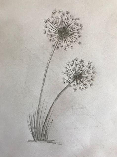 Easy Plant Sketches, Small Nature Drawings, Easy Pretty Drawings, Cool Flower Drawings, Pencil Art Flowers, Nature Art Ideas, Flower Drawing Sketch, Easy Nature Drawings, Drawing Of Flowers