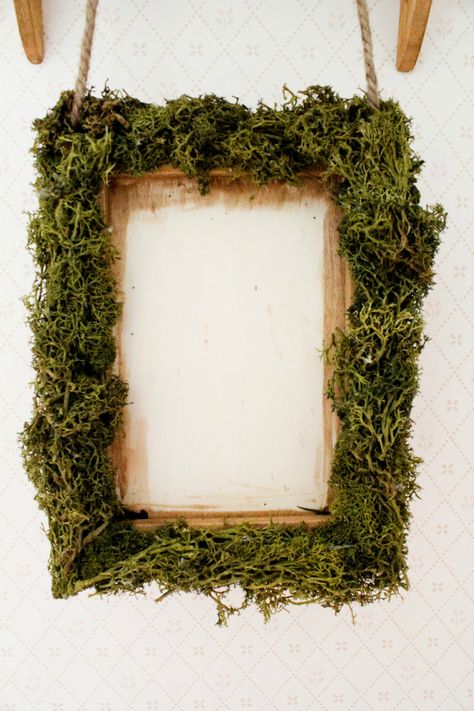 Our Mini Family: Hanging Moss Frame Moss Picture Frame, Diy Mirror Frame Ideas, Mirror Frame Ideas, Moss Hanging, Hanging Moss, Diy Mirror Frame, Moss Frame, Woodland Wedding Decorations, Diy Shabby Chic