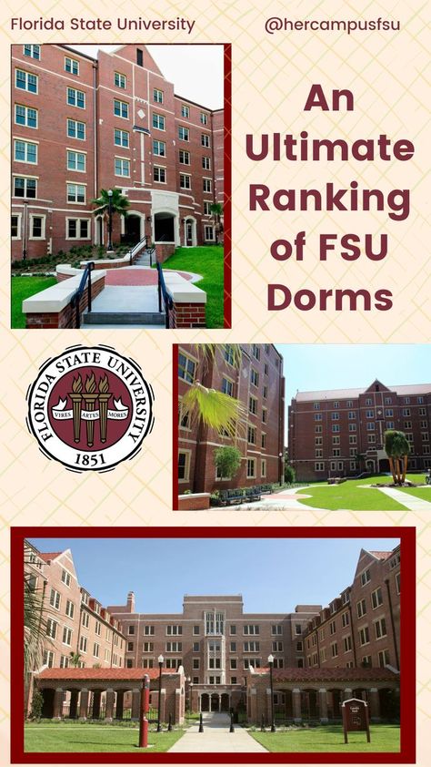 Fsu Vs Uf, Florida State University Campus, Fsu Dorm, Business Major, University Dorms, Student Dorm, College Dorm Essentials, Dream College, Her Campus