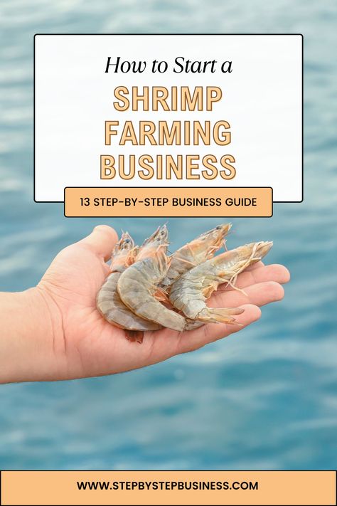 A complete step-by-step guide to starting a shrimp farming business including costs, profit potential, registering your business, and hiring staff. #shrimpfarmingbusiness Prawn Farming, Freshwater Shrimp, Shrimp Farming, Aquaponics Greenhouse, Backyard Aquaponics, Fish Farm, Farming Business, Farm Business, Self Reliance