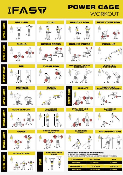 Exercise Poster, T Bar Row, Reps And Sets, Cable Row, Single Leg Deadlift, Pectoral Muscles, Workout Posters, Chest Muscles, Biceps And Triceps