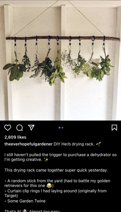 Herb Dryer Drying Racks, Herb Drying Wall, Drying Herbs In Kitchen, Herb Hanging Rack, Hang Drying Herbs, Hanging Herbs To Dry, Herb Drying Rack Diy, Drying Herbs Hanging, Dried Herbs Hanging