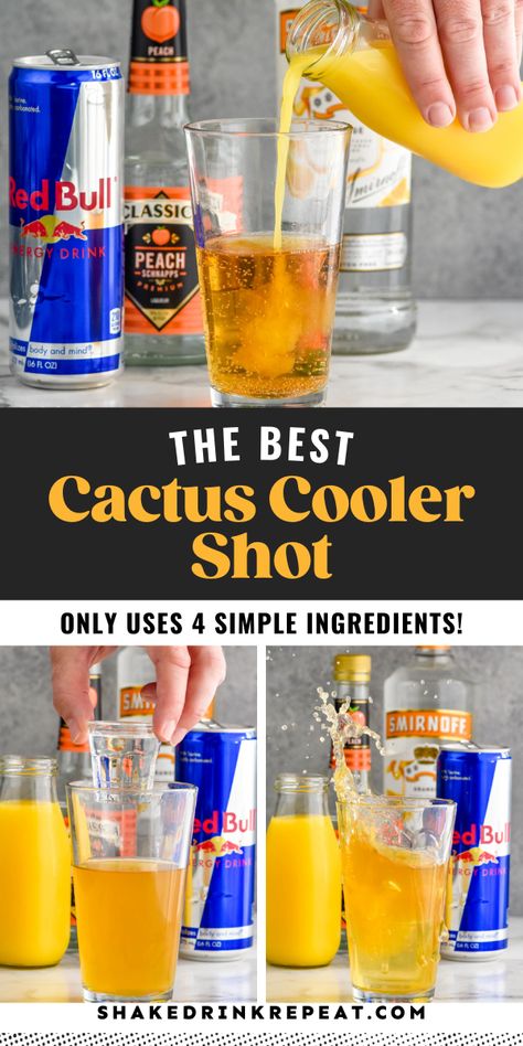 This Cactus Cooler Shot recipe is fruity, fun, and so refreshing! Orange and peach flavors combine with the zing of Red Bull for a smooth and delicious shot experience. Cactus Cooler Cocktail, Cactus Cooler Shot Recipe, Red Bull Shots, Easy Shot Recipes, Shots Alcohol, Malibu Rum, Shakes Drinks, Boozy Drinks, Shot Recipes