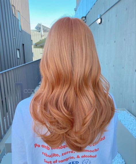 Daphne Hair Color, Strawberry Peach Blonde Hair, Peach Orange Hair Color, Dyed Ginger Hair Strawberry Blonde, Strawberry Blonde Hair On Olive Skin, Strawberry Blonde Inspiration, Blond Strawberry Hair, Ginger Hair Dyed Blonde, Strawberry Blonde Light Hair