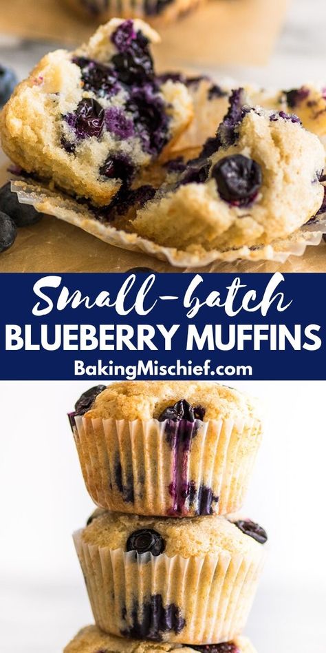 Blueberry Muffins From Scratch, Muffin Base, Mini Blueberry Muffins, Small Batch Desserts, Sugar Spun Run, Small Batch Cooking, Recipes For 2, Best Blueberry Muffins, Small Batch Recipes