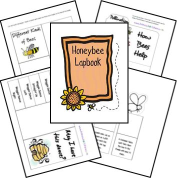 Grab this FREE Honebee Lapbook from Homeschool Share!     Click here for a huge list of homeschool lapbooks! Bee Lapbook, Bee Unit Study, Homeschool Lapbooks, Science Lapbooks, Notebook Printables, Bee Project, Bee Life Cycle, Insect Unit, Lap Books