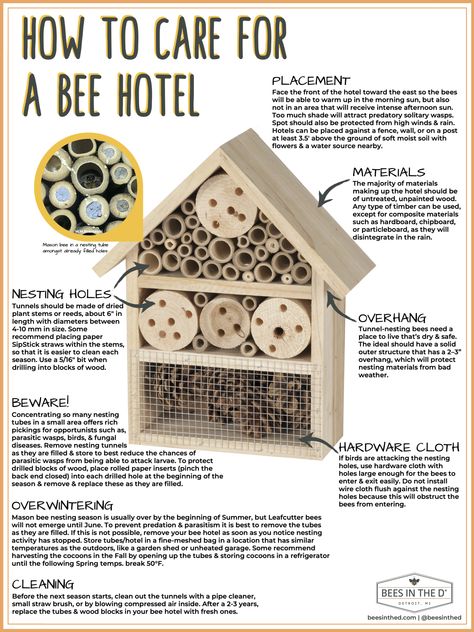 Solitary Bee Hotel, Native Bee House, Bumble Bee House Diy, Bee Hotel Diy How To Make, Bee Friendly Garden Design, Mason Bees Keeping, Carpenter Bee House, Diy Pollinator Hotel, Pollinator House Diy