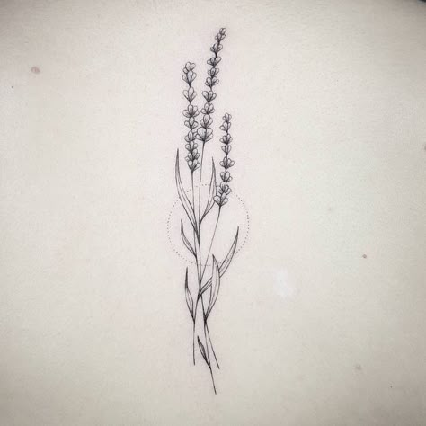 Pin by charlotte! on tattoo 4 momma: lavender | Lavender tattoo, Botanical tattoo, Flower tattoos Sam Tattoo, Botanisches Tattoo, Lavender Tattoo, Wildflower Tattoo, Handpoke Tattoo, Botanical Tattoo, Dainty Tattoos, Sister Tattoos, Fine Line Tattoos