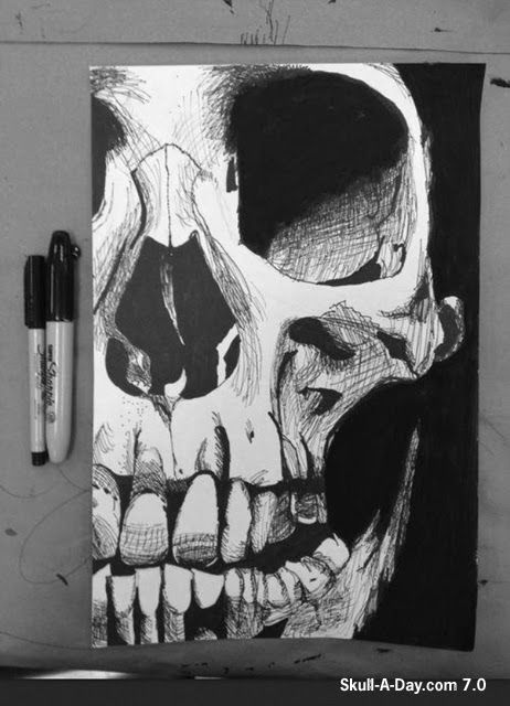 Sharpie Drawings, Arte Doodle, Sharpie Art, Desenho Tattoo, Skull Drawing, Arte Sketchbook, A Skull, Ink Sketch, Pen Art