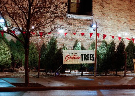 1950ish Christmas Tree Lot, love it! Gingerbread Structures, Christmas Tree Lot, Christmas Tree Store, Christmas Lounge, Christmas Tree Lots, Tree Cottage, Lights Ideas, Christmas Tree Sale, 1950s Christmas