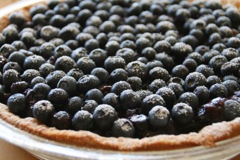 Dorothy's Fresh Blueberry Pie Fresh Blueberry Pie, Summer Pie, Pie Day, Blueberry Recipes, Blueberry Pie, Sweet Food, Pie Crust, Pie Recipes, Blueberries