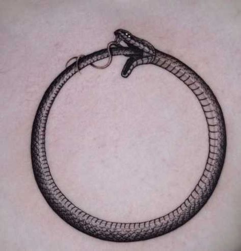 21 Mesmerizing Snake Tattoos on Stomach: Embrace the Allure of Serpents Black And Grey Tattoos For Men, Black And Grey Tattoos Sleeve, Mujeres Tattoo, Ouroboros Tattoo, Circle Tattoos, Arm Band Tattoo, Stomach Tattoos, Line Work Tattoo, Hand Tattoos For Guys