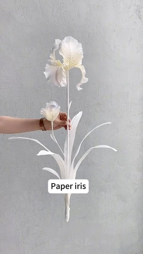 manney.paperart.design | The whole process of making a paper iris. #iris #paperflower #handmadeflower #flowerdesign #flowerdecoration | Instagram Flower Of Paper, Flower Crafts Diy, Paper Iris, Small Paper Flowers, Flower Craft Ideas, Giant Flowers Diy, Healthy Potato, Wafer Paper Flowers, Paper Flower Art