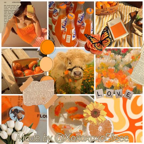 Moodboard Orange, Moodboard Adopts, Moodboard Inspo, Adopt Idea, Drawing Ideas List, Oc Inspo, Adoption Center, Rainbow Aesthetic, Orange Aesthetic