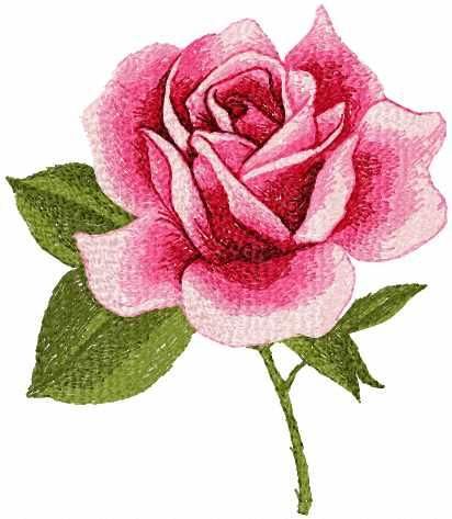 Red rose photo stitch free machine embroidery design - Photo stitch embroidery designs - Machine embroidery community Red Rose Photo, Rose Pattern Design, Rose Embroidery Designs, Rose Embroidery Pattern, Photo Stitch, Machine Embroidery Thread, Rose Photo, Pola Sulam, Embroidery Flowers Pattern