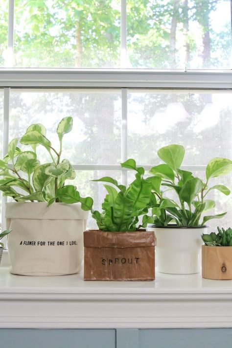 Paper Bag Planter, Decorate Small Spaces, Glamorous Kitchen, Diy Paper Bag, Plant Bags, Herb Garden In Kitchen, Money Gifts, Paper Lunch, Paper Plants