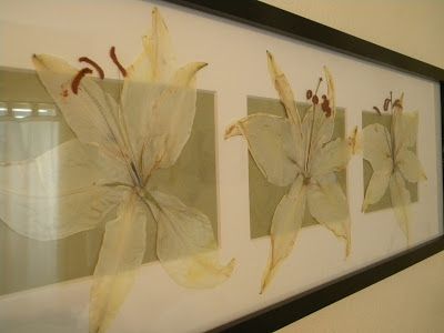 Go Ahead & Craft: Pressed lillies Dried Lily Flower, Pressed Lily Flower, Large Pressed Flower Art, Pressed Flower Art Wedding Bouquet, Calla Lillies Bouquet, Pressed Flower Plaque, World Art Day, Pressed Flower Wall Art Large, Pressed Flowers Frame