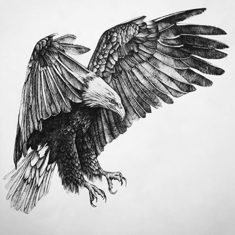 Ink and Pencil Animal Drawing Bird Of Prey Tattoo, Jing Y Jang, Small Eagle Tattoo, Fly Like An Eagle, Rabe Tattoo, Eagle Landing, Best Cover Up Tattoos, Eagle Drawing, Full Sleeve Tattoo Design