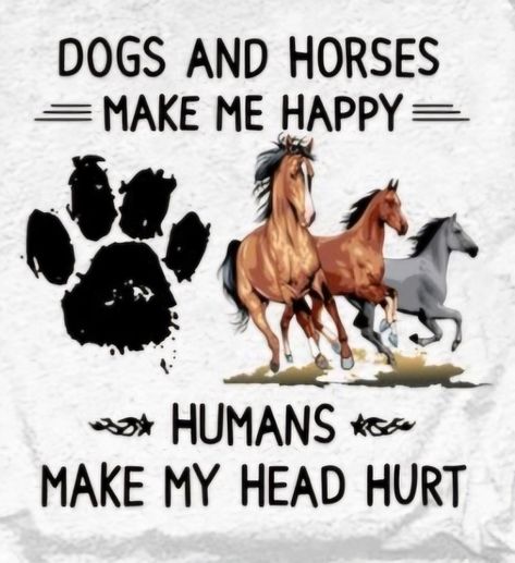 Funny Horse Quotes, Cute Horse Quotes, Country Sayings, Funny Horse Memes, Horse And Dog, Funny Quotes Wallpaper, Horse Quotes Funny, Funny Horse Pictures, Inspirational Horse Quotes