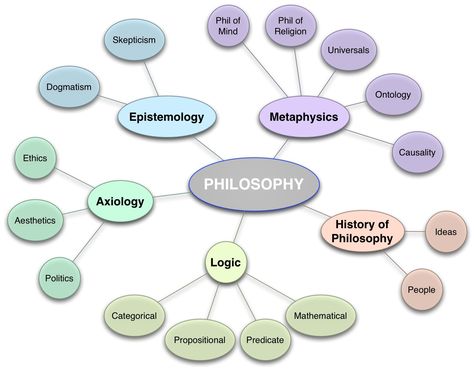 Branches of Philosophy Hr Infographic, Philosophy Theories, School Of Philosophy, History Of Philosophy, Study Philosophy, Philosophy Of Science, Critical Theory, Critical Thinking Skills, Philosophy Quotes