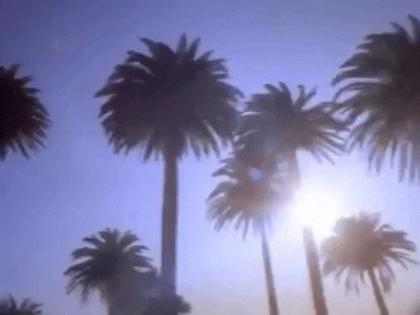 80s Gifs, Randy Newman, I Love La, School Projects, Gif, Angel, Sun