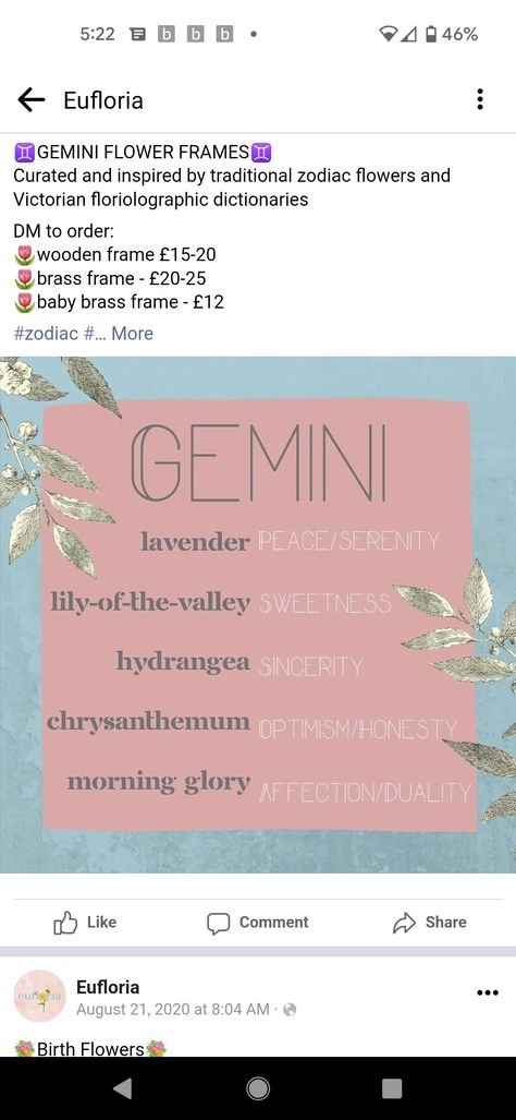 Gemini Flower Tattoo, Gemini Birth Flower, Gemini Flower, June Gemini, Gemini Life, Oc Challenge, Bff Tattoos, Morning Glory, Birth Flowers