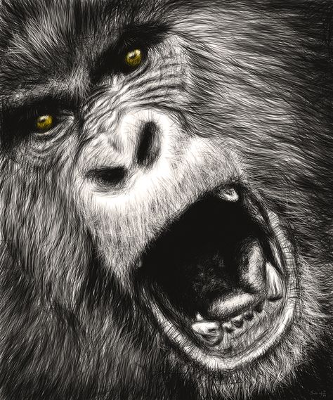 Startling Digital Illustrations of Fierce Snarling Animals - My Modern Metropolis Experiential Art, Angry Animals, Great Ape, Carving Patterns, Wild Creatures, Animal Sketches, Wildlife Conservation, Lion Tattoo, Funny Animal Memes