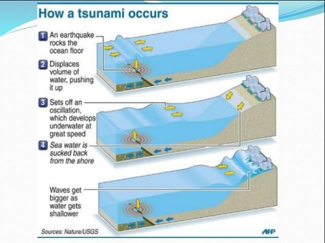 How Tsunami Occurs? The tsunami is a series of ocean waves, carry water to the big heights of over 100 feet about 30.5 meters, to the earth. Tsunami Project, Science Project Board, Volcano Project, Subduction Zone, Tsunami Waves, Education City, Middle School Science Experiments, Science Rules, Wild Weather