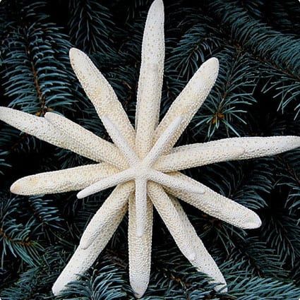 34 Most Creative Christmas Tree Toppers of All Time - Miss Wish Star Tree Toppers, Best Christmas Tree Toppers, Nautical Christmas Tree, Starfish Tree Topper, Christmas Tree Toppers Unique, Coastal Tree, Diy Tree Topper, Beach Christmas Trees, Xmas Tree Toppers