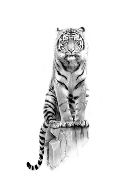 Tiger Tattoo Realism, Wild Animal Tattoos, Animal Pfp Aesthetic, Small Realism Tattoo, Animal Pfp Funny, Animal Wallpaper Aesthetic, Animal Character Design, Character Pfp, Animal Couple