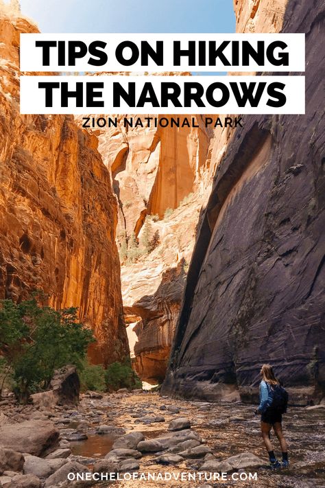 What to Expect Hiking The Narrows | Zion National Park The Narrows Zion National Park, Zion Hikes, Narrows Zion National Park, The Narrows Zion, National Park Hikes, Zion National Park Hikes, Hiking The Narrows, The Narrows, Utah Road Trip